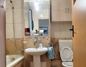 Apartment 1 rooms for rent in Cluj-napoca, zone Manastur