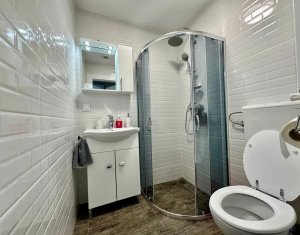 Apartment 2 rooms for rent in Cluj-napoca, zone Bulgaria