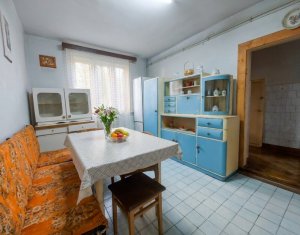 House 5 rooms for sale in Cluj-napoca, zone Andrei Muresanu
