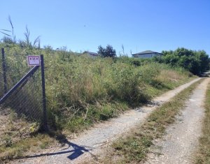 , 500m2 in Cluj-napoca