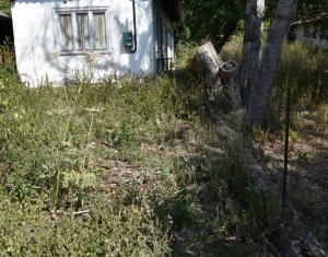 , 60m2 in Manastireni
