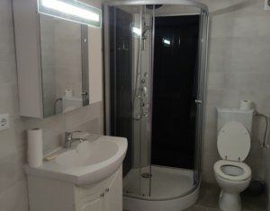 Apartament 40 mp, 1 camera, Floresti