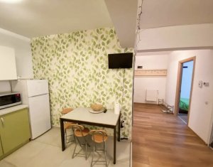 Apartment 2 rooms for rent in Cluj-napoca, zone Iris