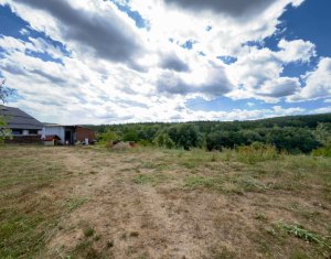 Terrain à vendre dans Savadisla