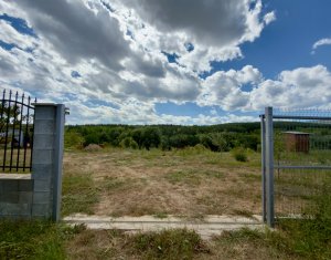 , 1137m2 dans Savadisla