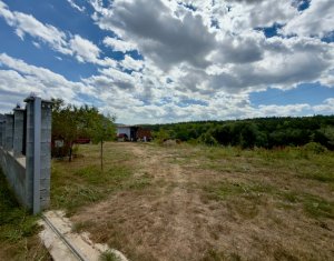 Terrain à vendre dans Savadisla