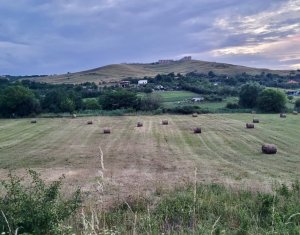 Terrain à vendre dans Feleacu