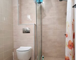 Appartement 2 chambres à louer dans Cluj-napoca, zone Marasti