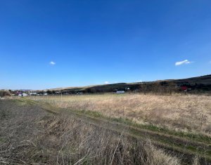 , 1860m2 dans Cluj-napoca, zone Sopor