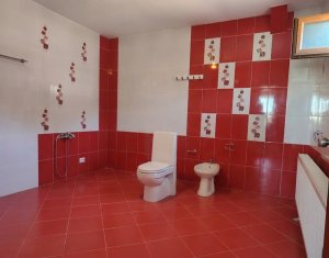 Maison 4 chambres à vendre dans Apahida