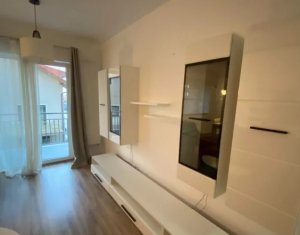Appartement 2 chambres à louer dans Cluj-napoca, zone Buna Ziua