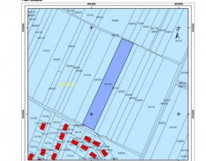 , 6500m2 on Jucu De Mijloc