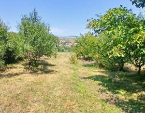 Maison 3 chambres à vendre dans Comsesti