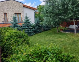 Maison 5 chambres à louer dans Cluj-napoca, zone Europa