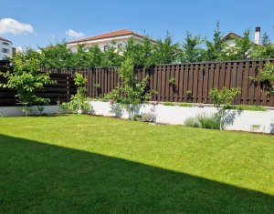 Maison 4 chambres à louer dans Cluj-napoca, zone Borhanci