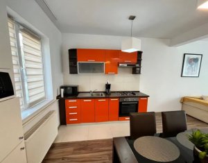 Maison 5 chambres à louer dans Cluj-napoca, zone Iris