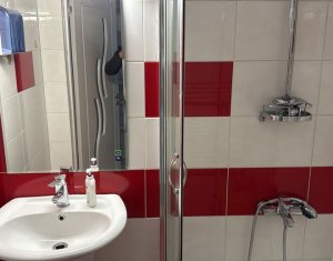 Appartement 2 chambres à louer dans Cluj-napoca, zone Centru