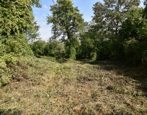Casa demolabila in sat Gheorghieni (com Feleacu) teren 1547mp intravilan