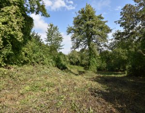 Casa demolabila in sat Gheorghieni (com Feleacu) teren 1547mp intravilan