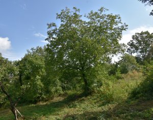 Teren superb pentru casa in Gheorghieni-Cluj(com. Feleacu), oaza de liniste