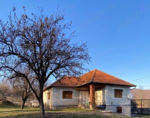 , 150m2 dans Ciucea