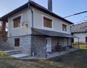 Maisons de vacances à vendre dans Ciucea