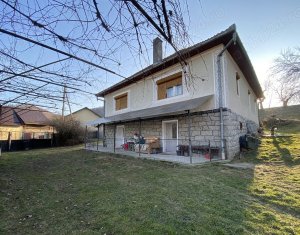 Maisons de vacances à vendre dans Ciucea
