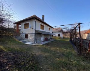 Maisons de vacances à vendre dans Ciucea