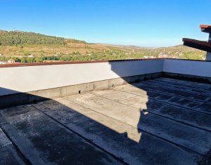 Maison 4 chambres à vendre dans Baciu