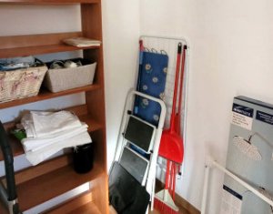Appartement 2 chambres à louer dans Cluj-napoca, zone Andrei Muresanu