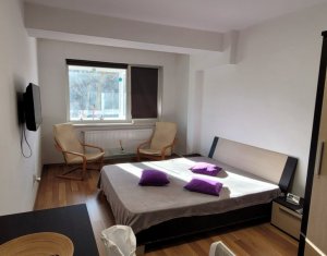 Appartement 2 chambres à louer dans Cluj-napoca, zone Andrei Muresanu