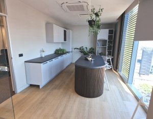 370sqm Top Management Offices for rent - centru Cluj-Napoca 