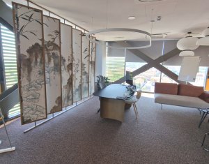 370sqm Top Management Offices for rent - centru Cluj-Napoca 