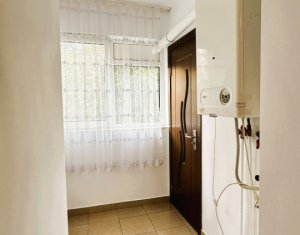 Appartement 1 chambres à louer dans Cluj-napoca, zone Gheorgheni