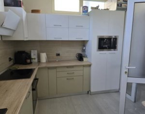Maison 4 chambres à louer dans Cluj-napoca, zone Centru