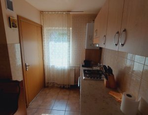 Appartement 2 chambres à vendre dans Cluj-napoca, zone Zorilor