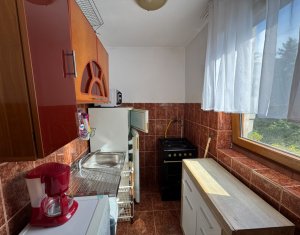 Appartement 2 chambres à louer dans Cluj-napoca, zone Gheorgheni