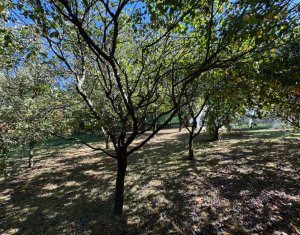 Vila in Faget, zona Vila Tusa, 400 mp, 2412 mp teren