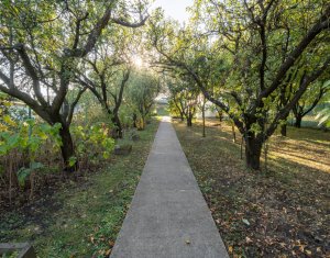 Casă individuală + 1000 mp teren - Sălicea