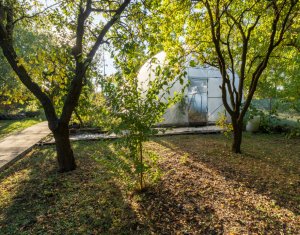 Casă individuală + 1000 mp teren - Sălicea