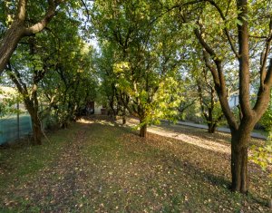 Casă individuală + 1000 mp teren - Sălicea