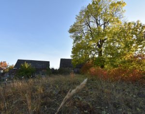 Casa cu sura si teren mare in Dangaul Mare, canalizare, asfalt