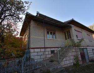 Casa cu sura si teren mare in Dangaul Mare, canalizare, asfalt