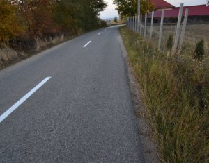 , 2540m2 in Dangau Mare