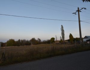 Teren intravilan in Dangaul Mare, drum asfaltat, canalizare, apa, curent